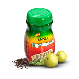 Zandu Chyavanprash 450gm