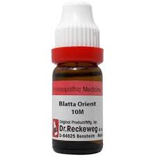 Dr Reckeweg Blatta Orient Dilution 10M CH