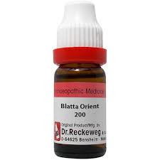 Dr Reckeweg Blatta Orient Dilution 200 CH