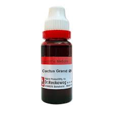 Dr Reckeweg Cactus Grand Dilution CM CH