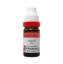 Dr Reckeweg Caladium Seg Mother Tincture Q