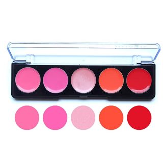 Imagic PROfessional cosmetic 5 COLOR LIPSTICK PALETTE 5 X 2g